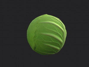 cabbage Modello 3D