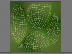 cabbage 3D Model