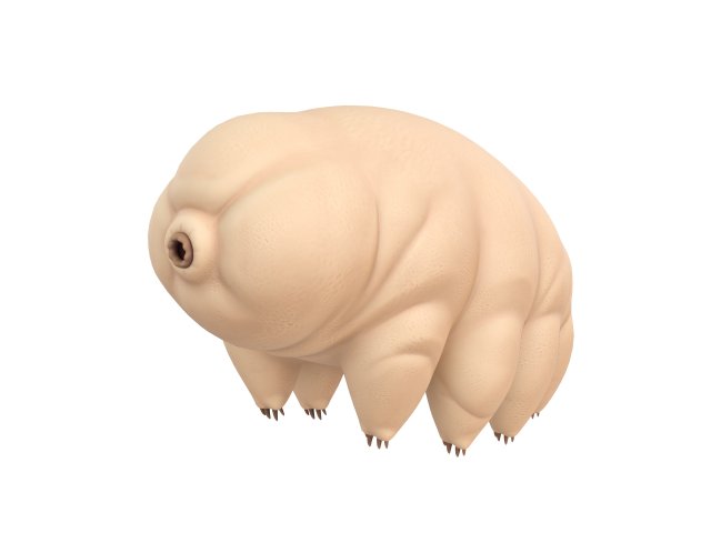 tardigrade 3D Модель .c4d .max .obj .3ds .fbx .stl .blend
