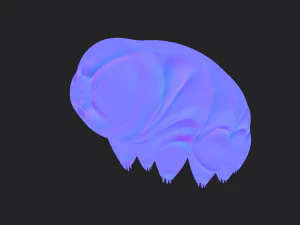 tardigrade 3D Model
