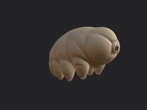 tardigrade 3D Модель