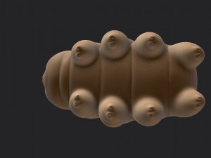 tardigrade 3D Модель