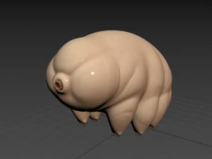 tardigrade 3D Model