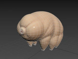 tardigrade 3D Model
