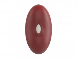 red kidney bean 3D Model