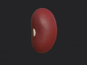 red kidney bean 3D Model