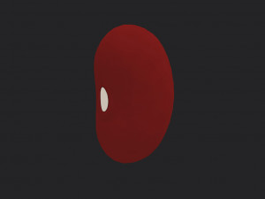 red kidney bean 3D Model