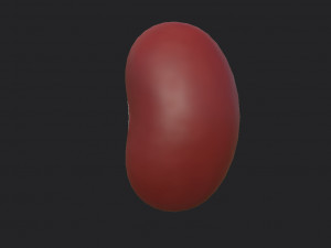 red kidney bean 3D Model