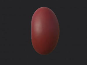 red kidney bean 3D Model