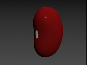 red kidney bean 3D Model