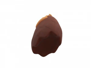 bear paws 3D Model