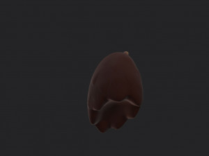 bear paws Modèle 3D