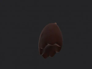 bear paws 3D Model