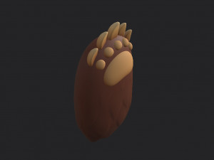 bear paws Modèle 3D