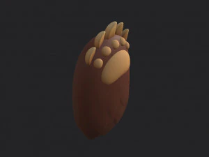bear paws 3D Model