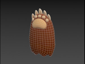 bear paws Modèle 3D