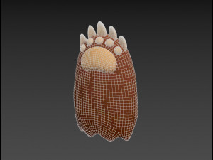 bear paws Modèle 3D
