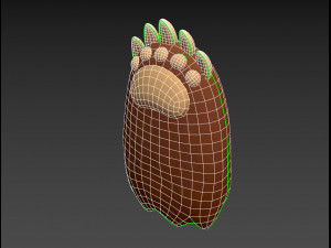 bear paws Modèle 3D