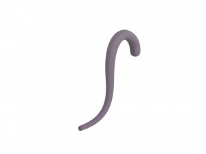 cat tail 3D Model