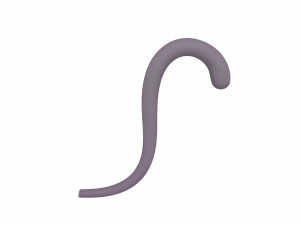 cat tail 3Dモデル