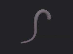 cat tail 3Dモデル