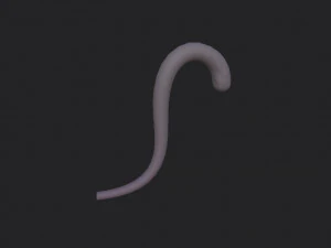 cat tail 3D Model