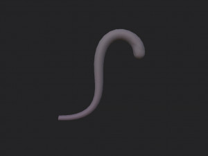 cat tail 3Dモデル