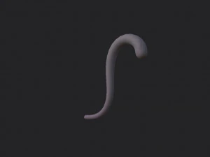 cat tail 3D Model