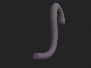 cat tail 3D Model