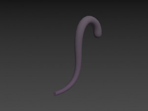 cat tail 3Dモデル