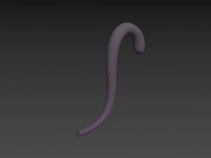 cat tail 3D Model