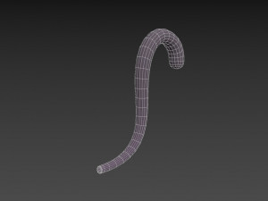 cat tail 3Dモデル