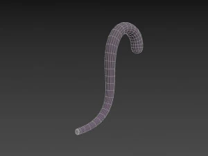 cat tail 3D Model