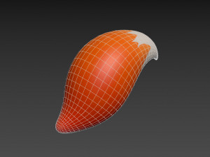 fox tail 3D Модель