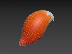 fox tail 3D Model