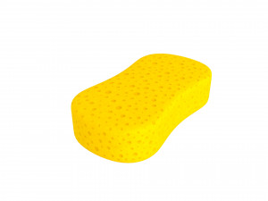 sponge 3D मॉडल