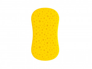 sponge Model 3D