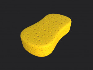 sponge Model 3D