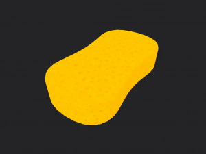 sponge 3D Model