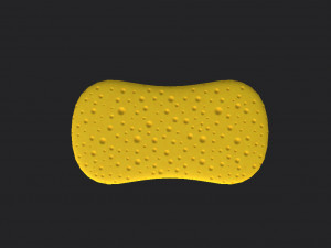 sponge Model 3D