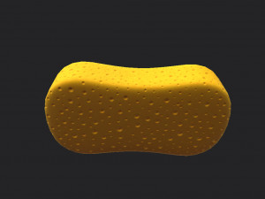 sponge Model 3D