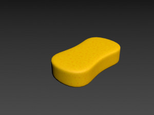 sponge Model 3D