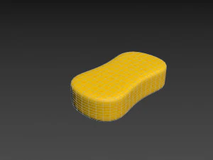 sponge 3D Model
