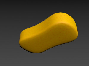 sponge Model 3D