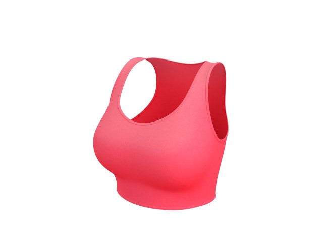 sport bra Modelo 3D .c4d .max .obj .3ds .fbx .stl .blend 