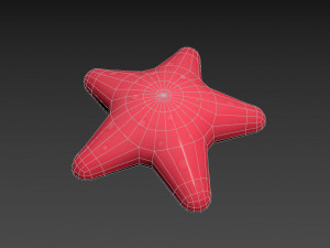 starfish 3Dモデル
