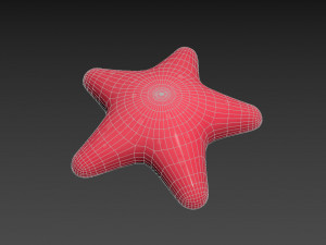 starfish 3Dモデル