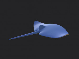 manta ray Modelo 3D
