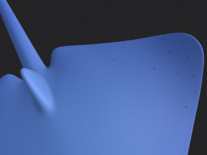 manta ray Modelo 3D