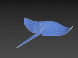 manta ray Modelo 3D